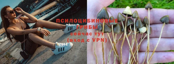 MDMA Бородино
